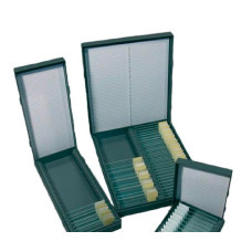 Бокс для зберігання предметних скелець Labexpert (25 секцій)